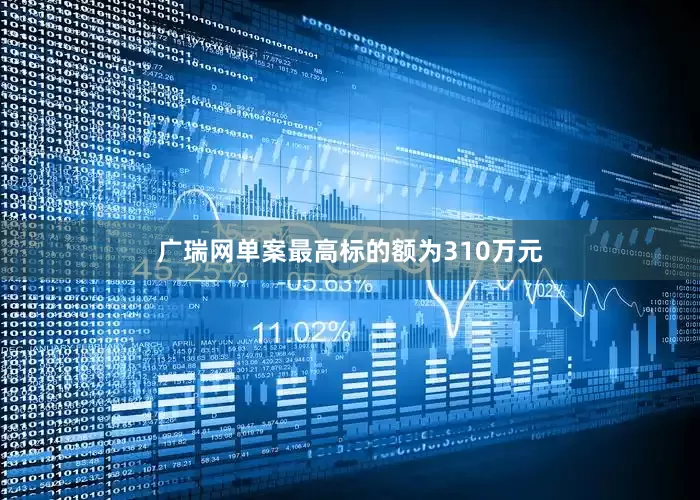广瑞网单案最高标的额为310万元