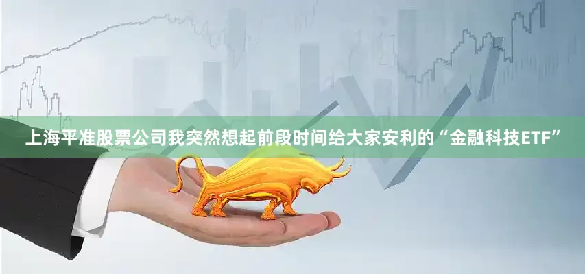 上海平准股票公司我突然想起前段时间给大家安利的“金融科技ETF”