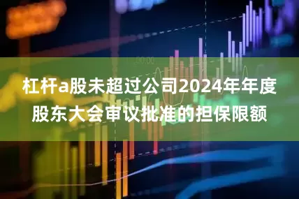 杠杆a股未超过公司2024年年度股东大会审议批准的担保限额