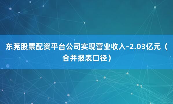东莞股票配资平台公司实现营业收入-2.03亿元（合并报表口径）