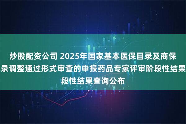 炒股配资公司 2025年国家基本医保目录及商保创新药目录调整通过形式审查的申报药品专家评审阶段性结果查询公布