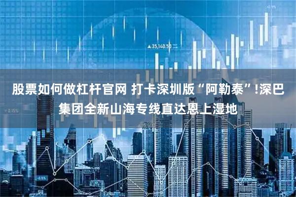 股票如何做杠杆官网 打卡深圳版“阿勒泰”!深巴集团全新山海专线直达恩上湿地