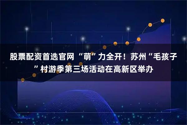 股票配资首选官网 “萌”力全开！苏州“毛孩子”村游季第三场活动在高新区举办