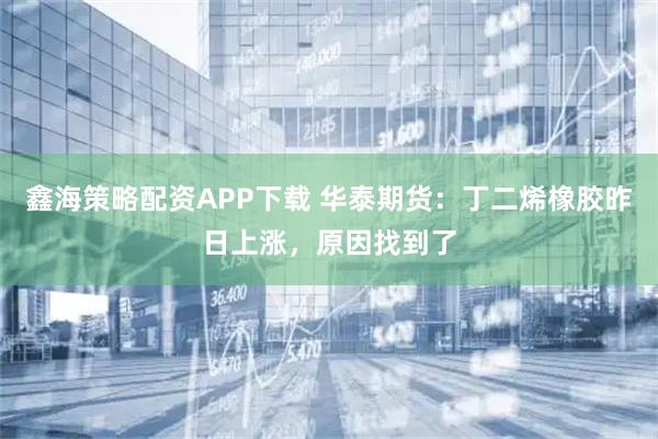 鑫海策略配资APP下载 华泰期货：丁二烯橡胶昨日上涨，原因找到了